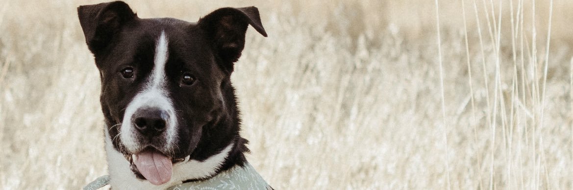 RGulde's profile banner image