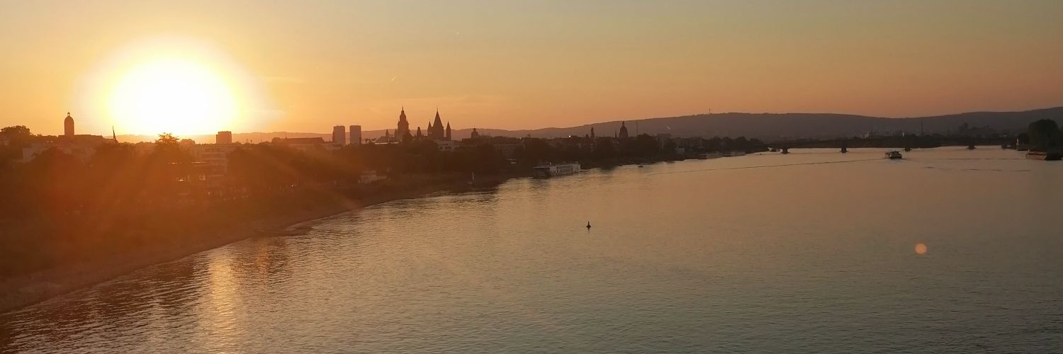 Luca Bartolotta banner