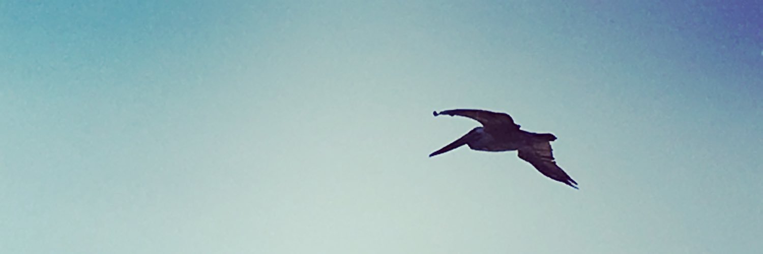 denizbig's profile banner image