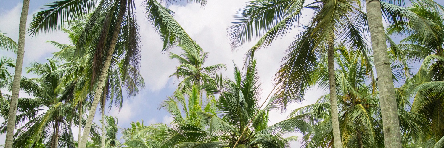 VitaCocoUK's profile banner image