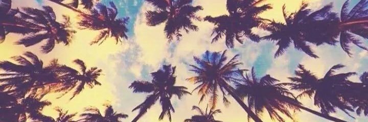 anne_tarrayo's profile banner image