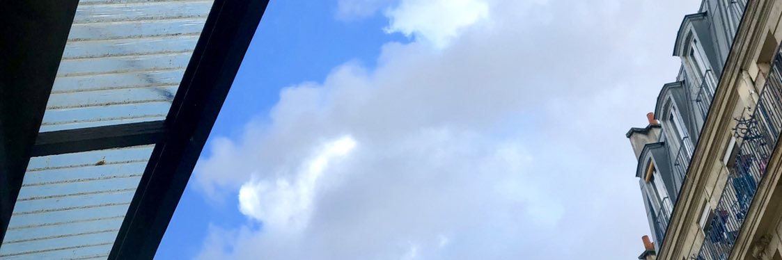 herveline fabre banner