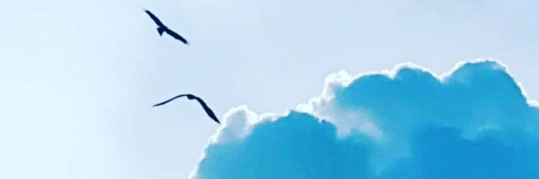 NazirSabirExped's profile banner image