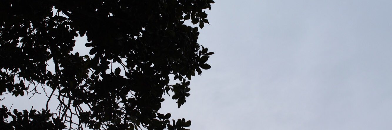 mads421's profile banner image
