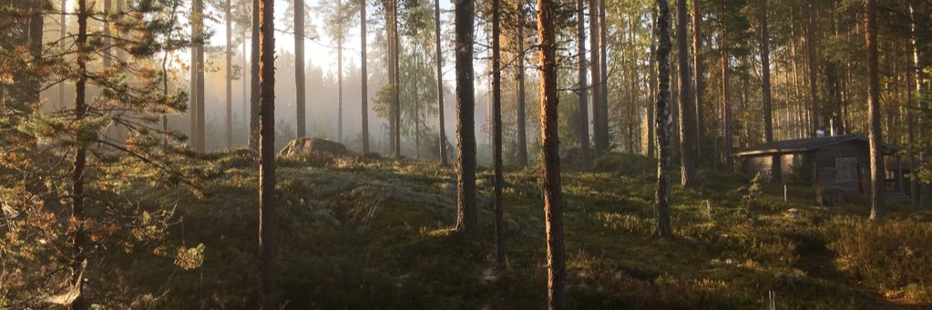 satujii's profile banner image