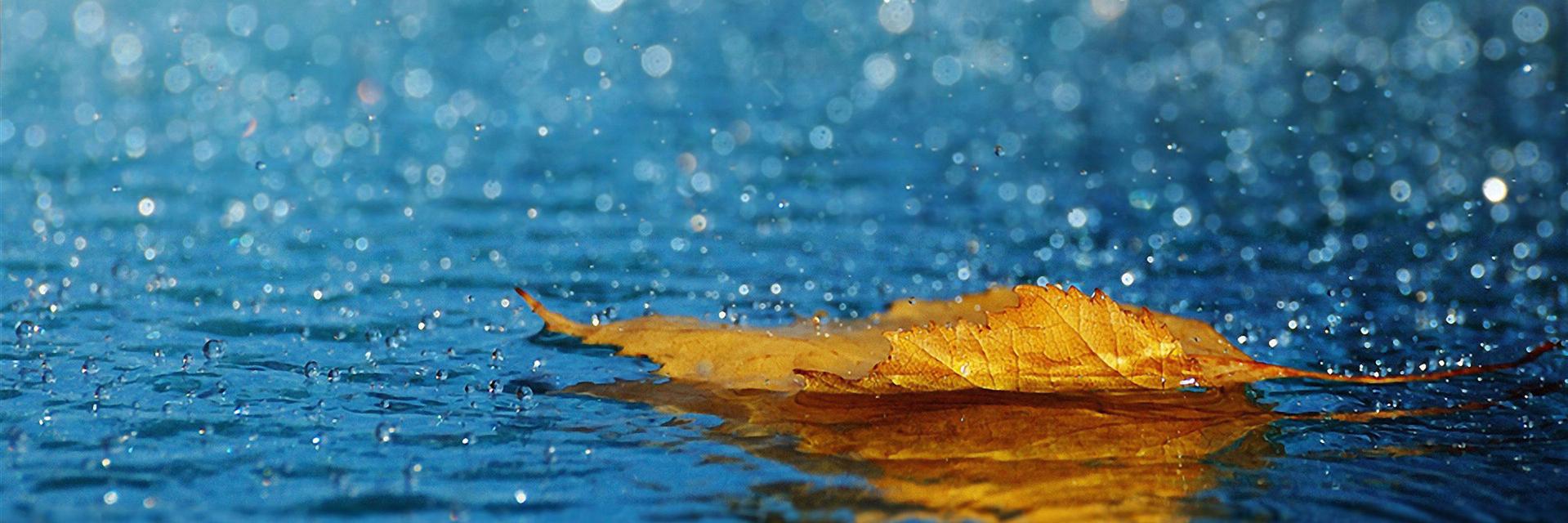 zenika_31's profile banner image