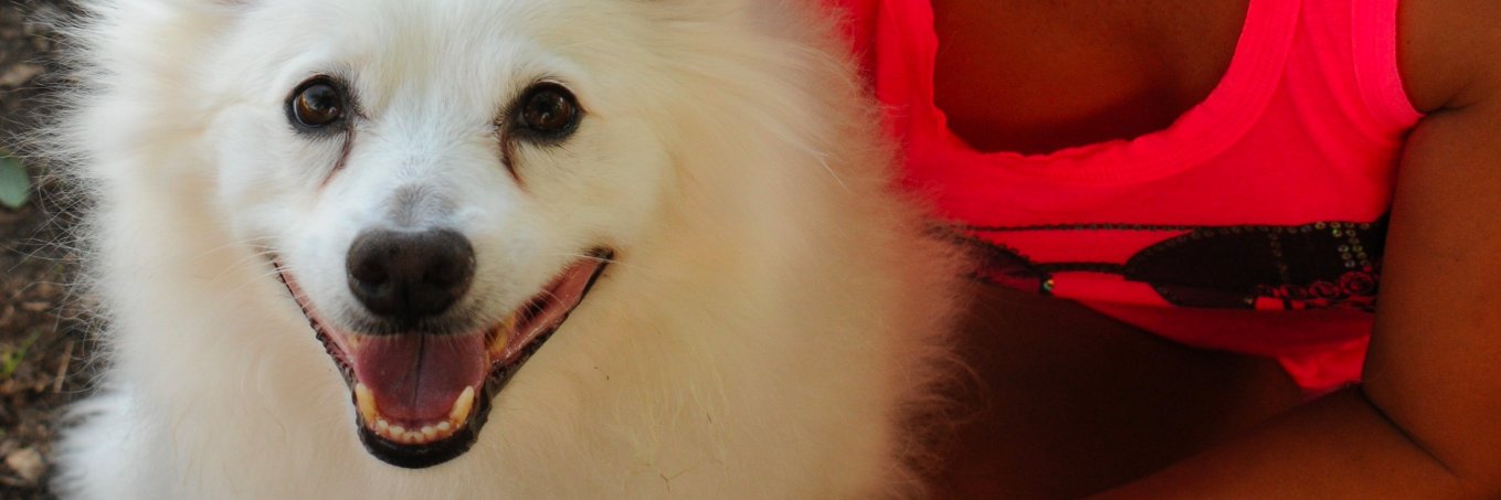 ColombianGata's profile banner image