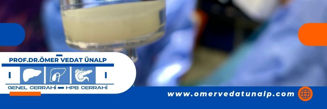 omervedatunalp's profile banner image