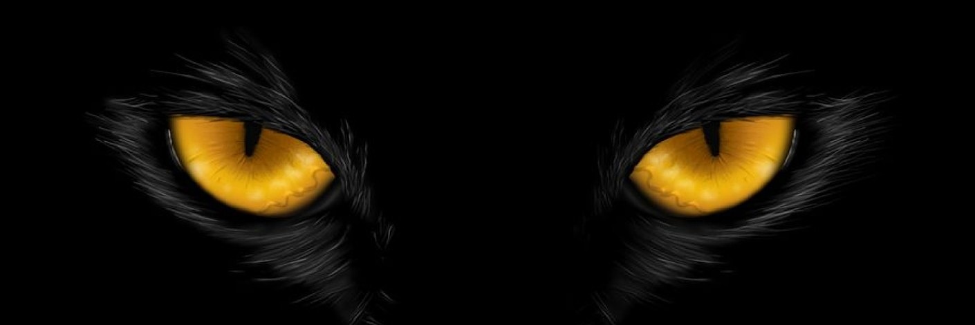 sethu15885906's profile banner image