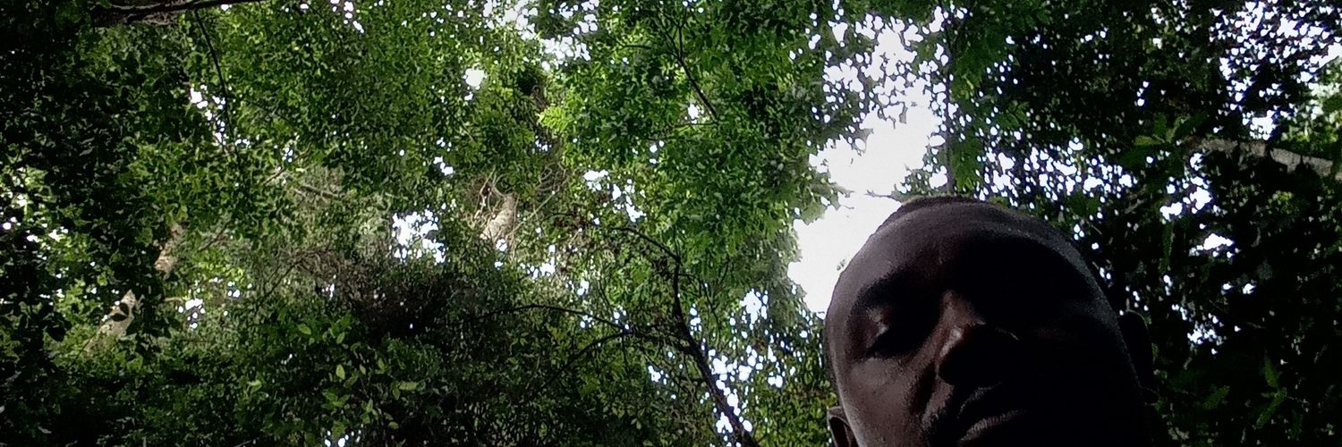 zocorleone's profile banner image