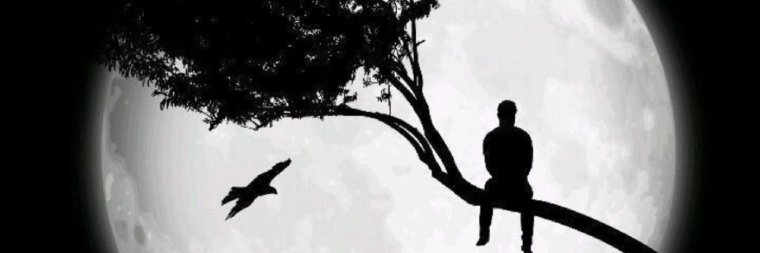 setiadirah's profile banner image