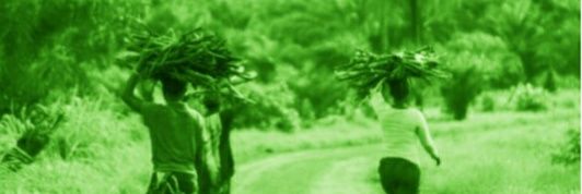 Joybos's profile banner image