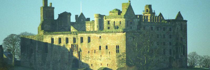 Caroline Roxburgh banner