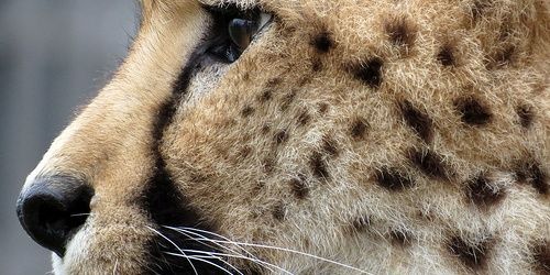 fernandohervas's profile banner image