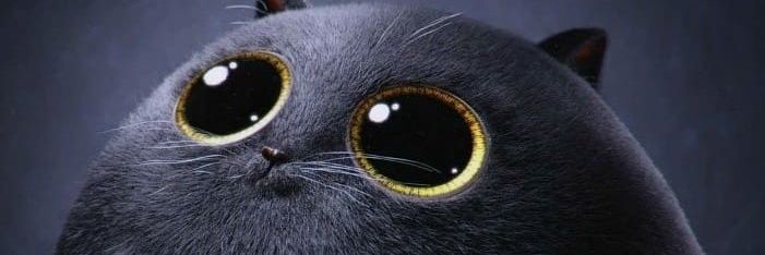 fanconata's profile banner image