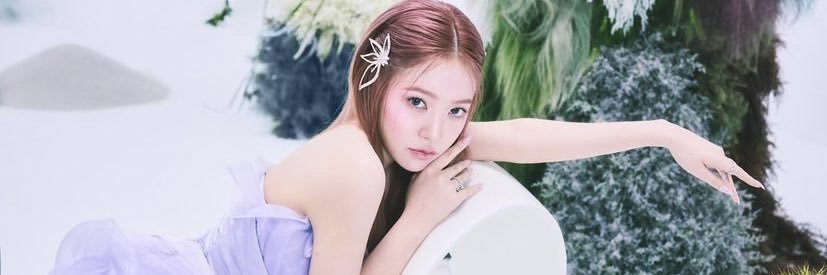 yeri looks banner