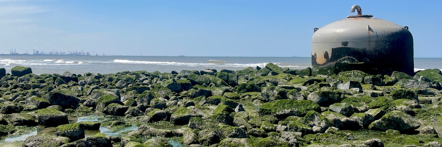 Simone Laurey banner