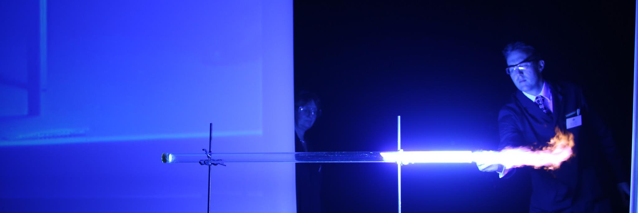 Wellington STE banner