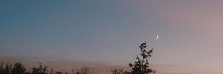 loulypopps's profile banner image