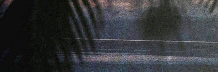 coldbudtay's profile banner image