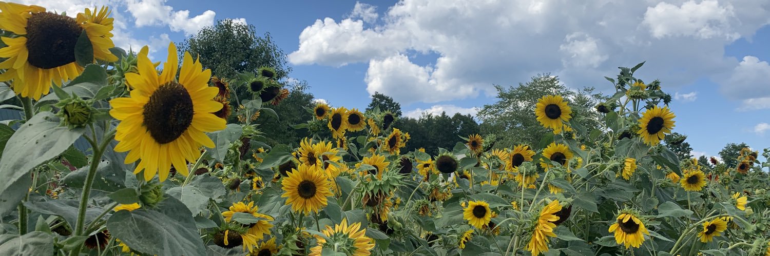 GerardKiernan4's profile banner image