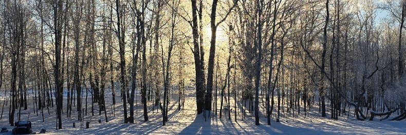 PNC_SW_Mac 🇺🇸⚓ 🔫 ✝️ banner