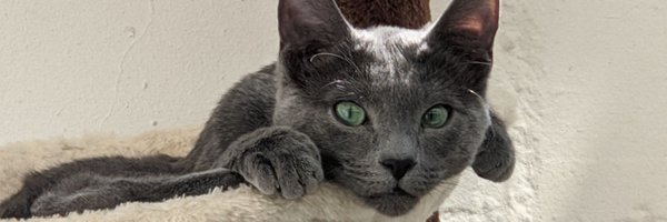 jakaj201 Profile Banner