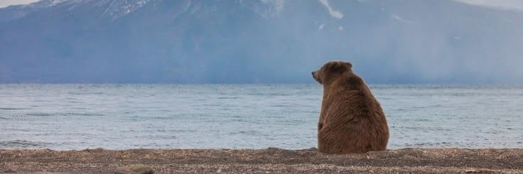 tomate sous rizz banner