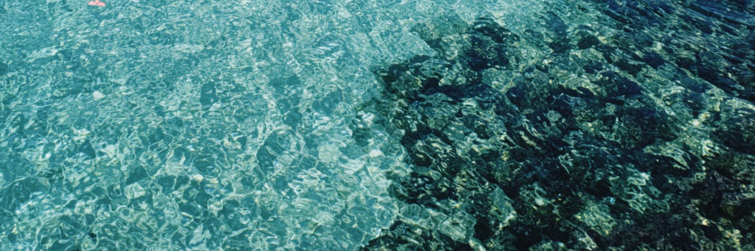 MargaridaNeto14's profile banner image