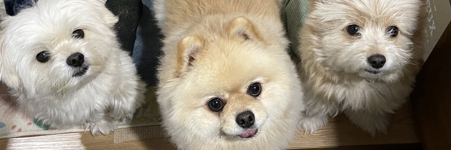 GKSMKDNS's profile banner image