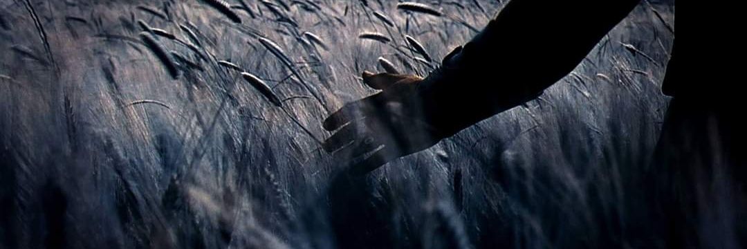 sedataskar's profile banner image