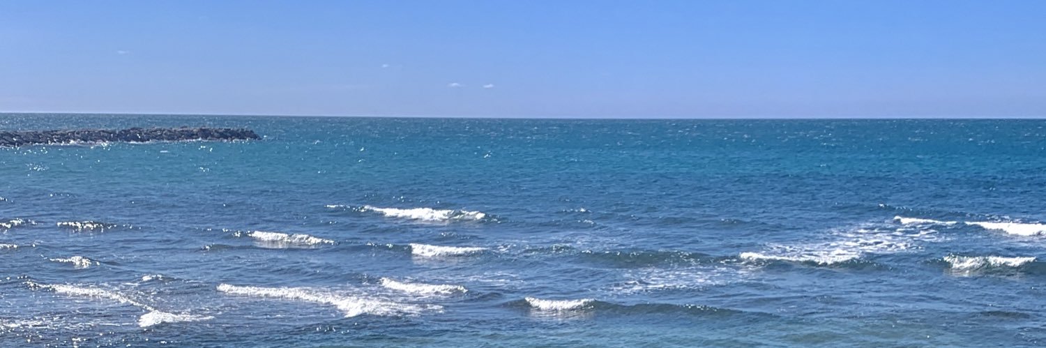 brittttt banner