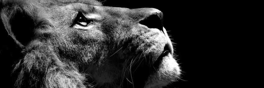 jony62's profile banner image