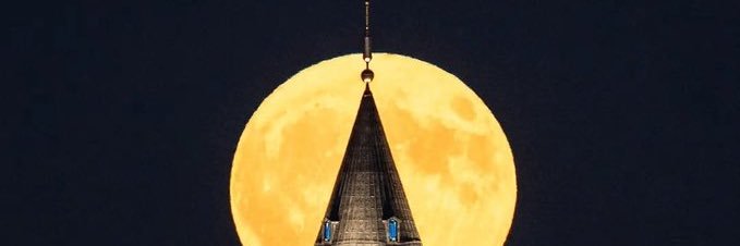 serdaryener's profile banner image