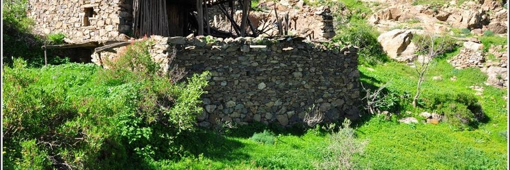 أ. د. عبدالرزاق حمود banner