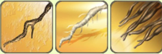 mp40tuna's profile banner image