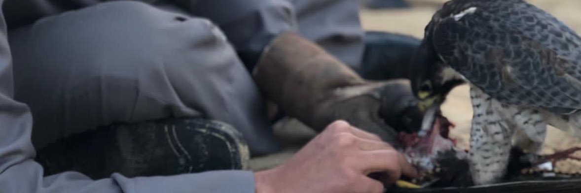 عبدالرحمن العويدان ⚖️ banner