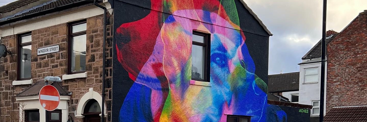 Sara Sartorius banner