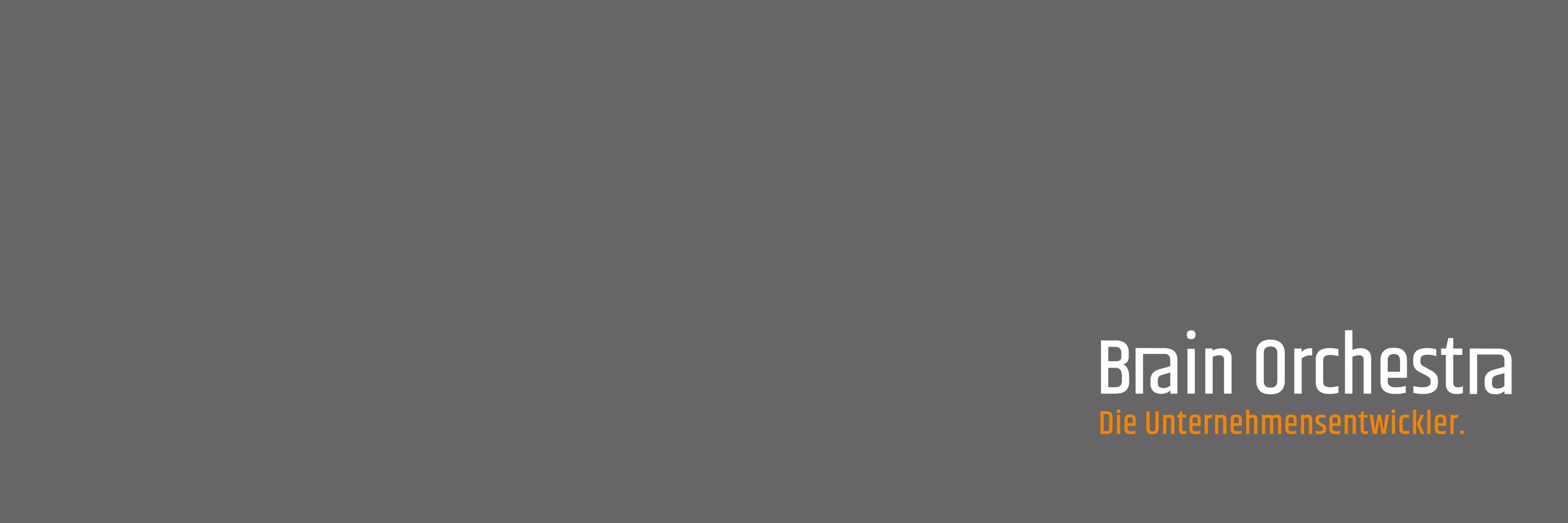 Brain Orchestra banner