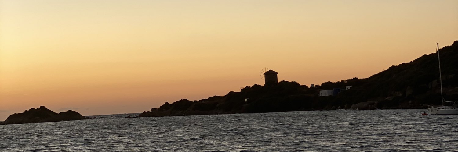 Partagas no;4 banner