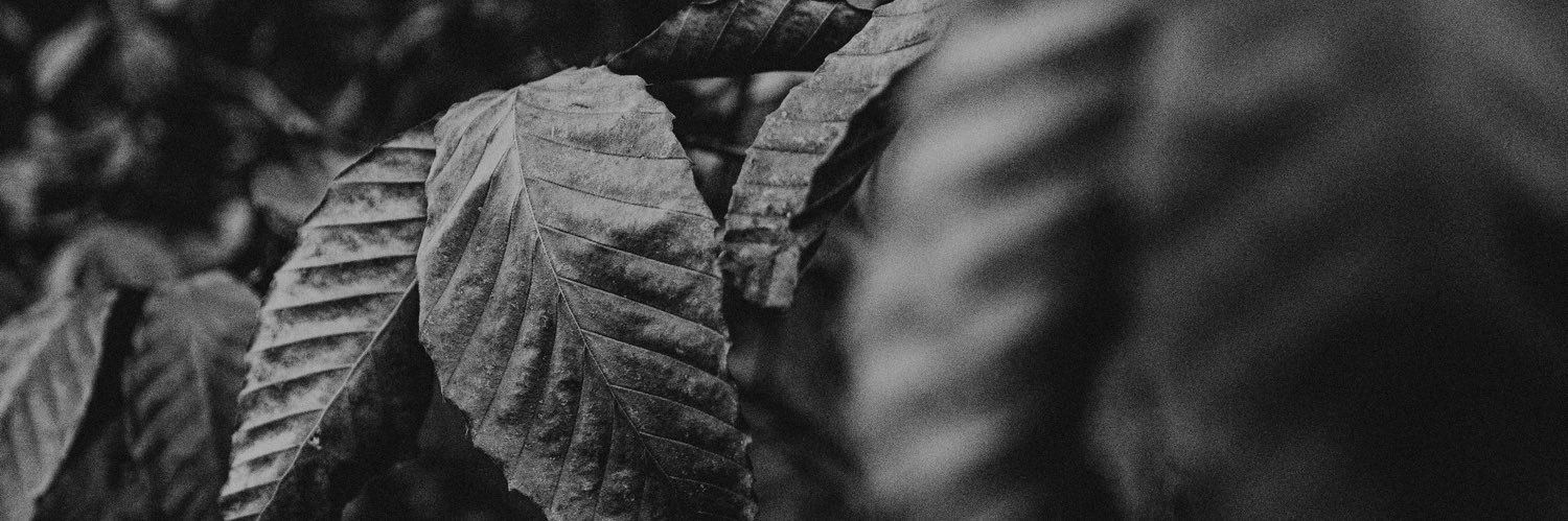 jthomp20's profile banner image