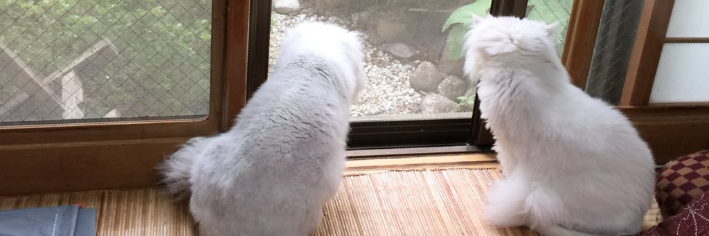 itsumin's profile banner image