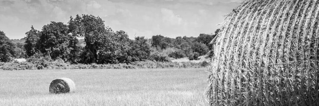 FlorisDario's profile banner image
