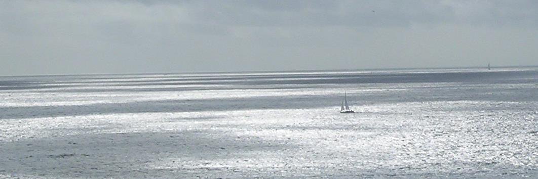 Michel banner
