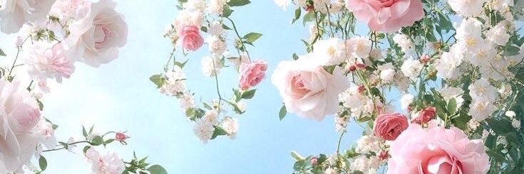 Miko🎀's banner