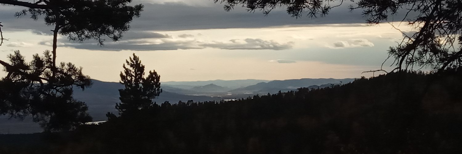 pustyrev's profile banner image