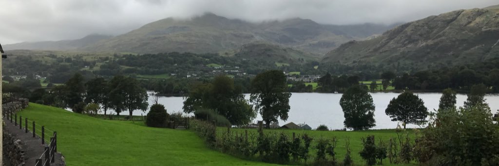 Molly 💙 🐾🐾🇮🇪🇬🇧 banner