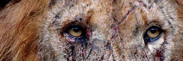 TrevorErvin1's profile banner image