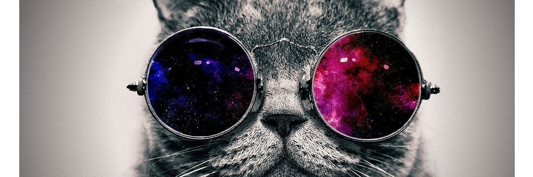 dyingknowmad's profile banner image
