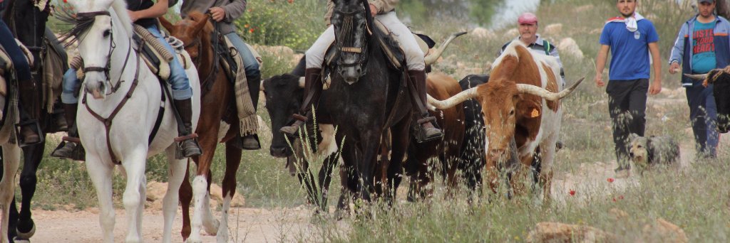 De la Vereda al Encierro banner